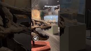 Explore The Exciting New Exhibit Room at Brigham Young Universitys Museum of Paleontology [upl. by Ninette]