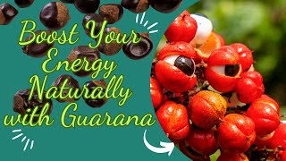 Boost Your Energy Naturally with Guarana [upl. by Hillery]