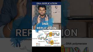 Dna replicationProkaryotesEukaryotestamilnotestypesdiagramsemiconservativecsir net [upl. by Neirod]