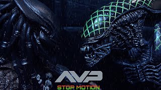 Alien vs Predator Stop Motion  Age of SwagWave 2018 Entry 1 [upl. by Adnahcal]