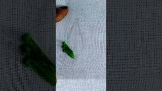 Leaf Embroidery 🌿 thread design embroidery yt share reels shorts public subscribe like 💯 [upl. by Brina243]