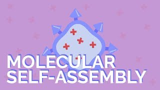 What is molecular selfassembly [upl. by Annaert]