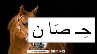 Lesson 9 Arabic from the Beginning [upl. by Jasmina875]