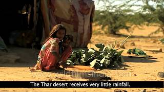 Thar  The Great Indian Desert [upl. by Alva]