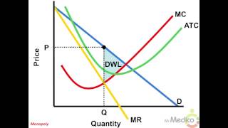 Monopoly  What You Must Know in 5 Minutes  Microeconomics [upl. by Arod49]