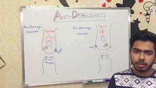 BASICS OF ANTIDEPRESSANTS [upl. by Pearson]