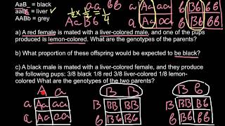 Advanced genetics probability problem [upl. by Nikral]