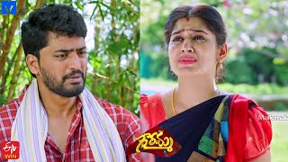 Gowramma Serial Promo  13th October 2021  Gowramma Telugu Serial  Mallemalatv [upl. by Nwahsit]