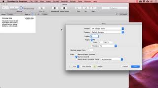 Filemaker Pro  Print single labels or sheets [upl. by Cherian]