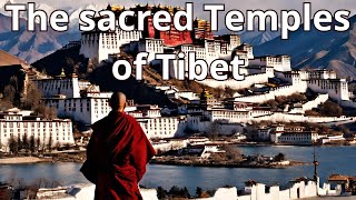 A spiritual expedition through Tibets Temples and Monasteries Uncover culture of Tibetan Buddhism [upl. by Ahsimit160]