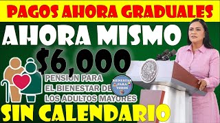 PAGOS AHORA GRADUALES APARTIR DE AHORA SUPER URGENTE PENSIÓN BIENESTAR ADULTOS MAYORES🤑🔴 [upl. by Notak]