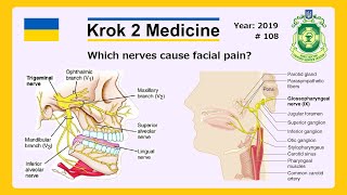 Krok 2 Medicine  Year 2019  108 Ministry of Public Health of Ukraine [upl. by Card493]