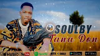 Soulby  Tana Don  Son Officiel 2024 [upl. by Gamal]