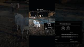 RDR2 • All Arabian Horse Colors and Locations Part I • Red Dead Redemption 2 [upl. by Patrice]