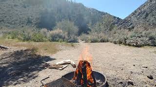 Campfire ASMR during Spring in the Mountains ┃Birdsong Nature Sounds Relaxing Fire to sleepchill [upl. by Fronniah]