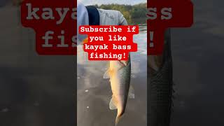 Kayak bass fishing New video just dropped kayaktournamentfishing bassfishing kayakbassfishing [upl. by Richardo]