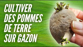 Cultiver des pommes de terre sur gazon [upl. by Notsud]