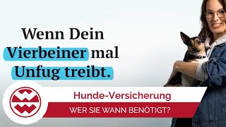 Haftpflichtversicherung für Haustiere Warum ist das wichtig  Welt der Wunder [upl. by Shinberg]