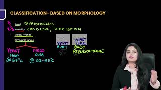 Mycology Microbiology Rapid Revision For FMGE amp NEET PG By Dr Preeti Sharma [upl. by Badr665]