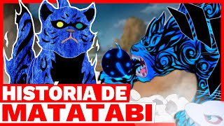 NARUTO A HISTÓRIA DE MATATABI  A VIDA DE MATATABI A BIJUU DE 2 CAUDAS [upl. by Shaughnessy28]