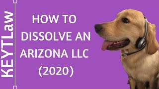 How to Dissolve an Arizona LLC 2024 [upl. by Lubbock]