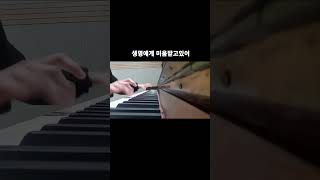 생명에게 미움받고 있어命に嫌われている  PIANO COVER [upl. by Nomzed]