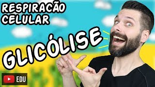 CONTROLE DA GLICEMIA  Glicose açúcar no sangue  Biologia com Samuel Cunha [upl. by Marino]