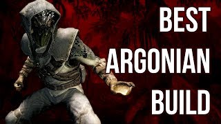 The Wanderer  Best Argonian Build  Skyrim Builds [upl. by Sredna]