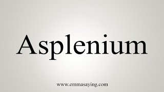 How To Say Asplenium [upl. by Eseilana537]