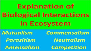 Explanation of Biological Interactions in Ecosystem [upl. by Esirtal]