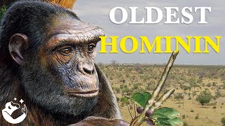 The Fascinating Origins of Hominins [upl. by Mikeb]