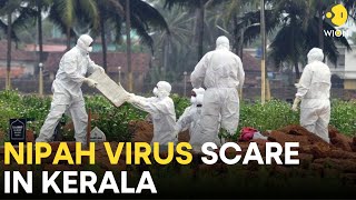 Nipah Virus Scare in Kerala LIVE Indian state of Kerala on high alert to control Nipah outbreak [upl. by Keiko166]