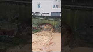 La riera del Palau de Terrassa ben plena daigua [upl. by Chem598]