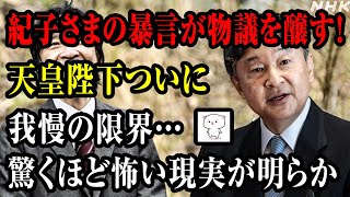 【速報】驚くほど怖い現実が明らか紀子さまの暴言が物議を醸す！天皇陛下ついに我慢の限界… [upl. by Fanya]