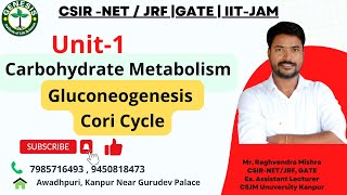 Metabolism of carbohydrates  Gluconeogenesis  Cori Cycle  L15 [upl. by Roid272]