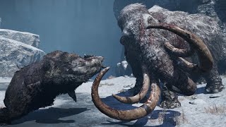 Hunt Legendary Bloodtusk Mammoth With All Beasts  Far Cry Primal 4K 60 FPS Max Settings [upl. by Dragelin398]