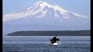 Puget Sound in Washington State [upl. by Ezar]