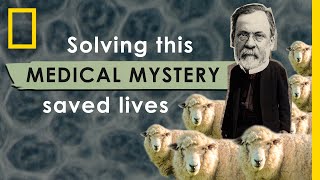 How Solving this Medical Mystery Saved Lives  Nat Geo Explores [upl. by Saravat301]