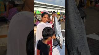 Patinapakam fish 🐟 market polama 💥 shorts akilakannanvlogs fish seafood trending [upl. by Natika]