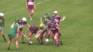 Feis Cup Senior camogie final 2024 [upl. by Aicnetroh]