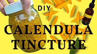 How to Make a Calendula Tincture  Calendula Tincture Benefits  DIY Fresh Calendula Tincture [upl. by Sami]