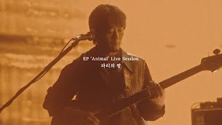 쏜애플THORNAPPLE 파리의 왕 EP Animal Live Session [upl. by Yrollam]