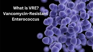 What is VRE VancomycinResistant Enterococcus [upl. by Sayer496]