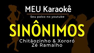 ✅SINÔNIMOS  CHITÃOSINHO E XORORÓ  KARAOKE [upl. by Houser]