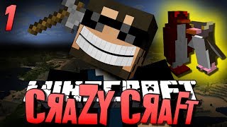 Minecraft CRAZY CRAFT 1  WTF IS THIS Minecraft Mod Survival [upl. by Rede]