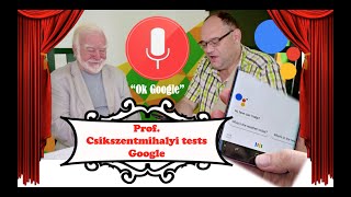 Prof Csikszentmihalyi versus Google [upl. by Nyladgam337]