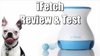 iFetch Frenzy Toy Review [upl. by Radbun694]