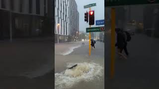 State of Emergency In Auckland After Flooding [upl. by Shanney14]