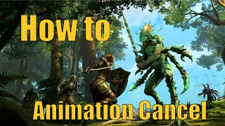 Different Kinds of Animation Cancels and How to do Them For Beginners [upl. by Teage]