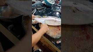 River leather jacket fishcutting freshwater shorts video [upl. by Llenrag]